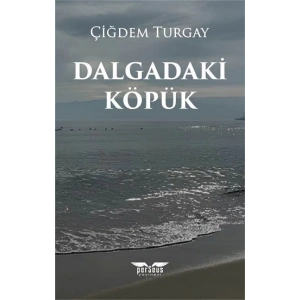 Dalgadaki Köpük