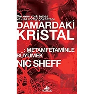 Damardaki Kristal: Metamfetaminle Büyümek