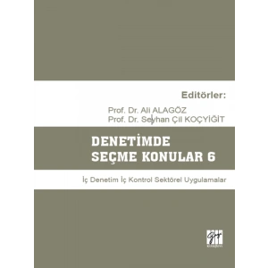 Denetimde Seçme Konular 6 Prof. Dr. Ali Alagöz, Prof Dr. Seyhan Çil Koçyiğit