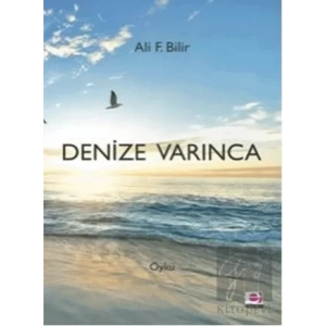 Denize Varınca