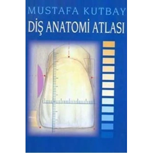 DİŞ ANATOMİSİ ATLASI -YAZARIN KENDİSİ Y.