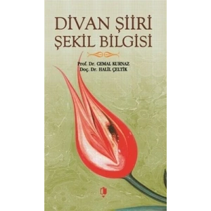 Divan Şiiri Şekil Bilgisi