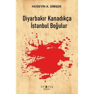 Diyarbakır Kanadıkça İstanbul Boğulur