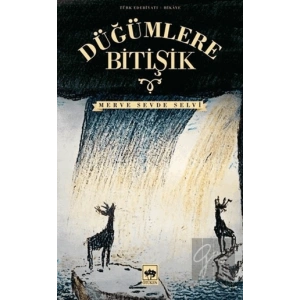 Düğümlere Bitişik