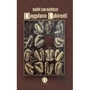 Duyguların Labirenti