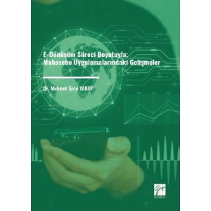 E-dönüşüm süreci boyutuyla Muhasebe uygulamalarındaki gelişmeler