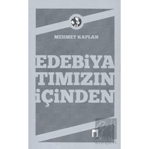 Edebiyatımızın İçinden
