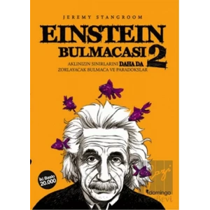 Einstein Bulmacası 2
