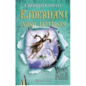 Ejderha Laneti Nasıl Bozulur - Ejderhanı Nasıl Eğitirsin 4