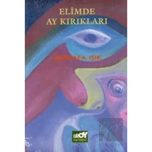 Elimde Ay Kırıkları