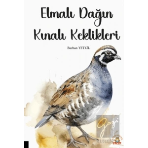Elmalı Dağın Kınalı Keklikleri