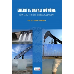 Enerjiye Dayalı Büyüme