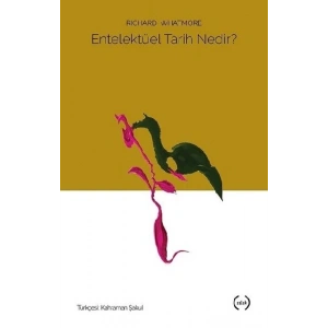 Entelektüel Tarih Nedir?