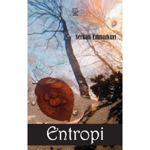 Entropi