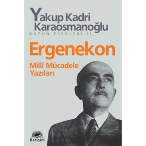 Ergenekon: Milli Mücadele Yazıları