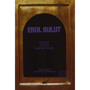 Erol Bulut