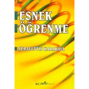 Esnek Öğrenme