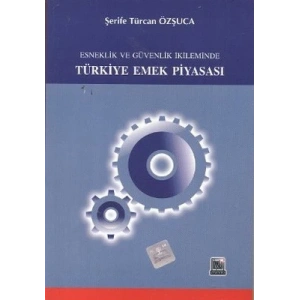Esneklik ve Güvenlik İkileminde Türkiye Emek Piyas