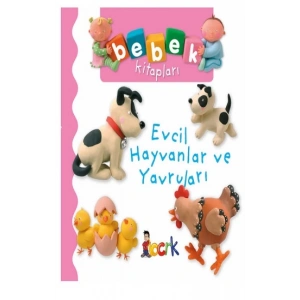 Evcil Hayvanlar ve Yavruları