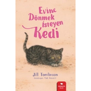 Evine Dönmek İsteyen Kedi