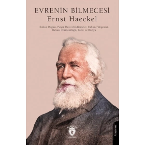 Evrenin Bilmecesi