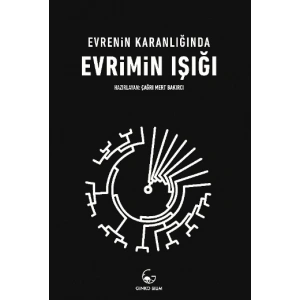 Evrenin Karanlığında Evrimin Işığı GİNKO BİLİM