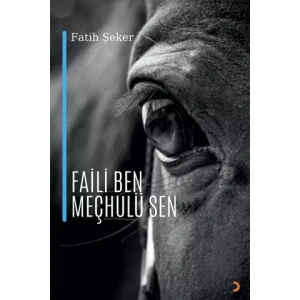 Faili Ben Meçhulü Sen