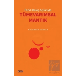 Farklı Bakış Açılarıyla Tümevarımsal Mantık