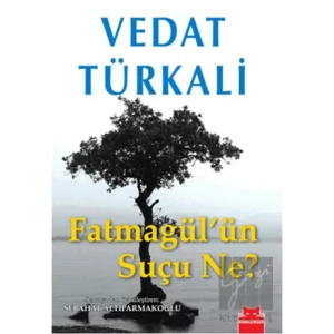 Fatmagül’ün Suçu Ne?
