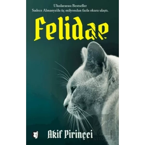 Felidae