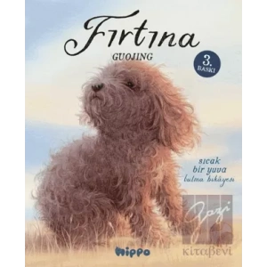 Fırtına