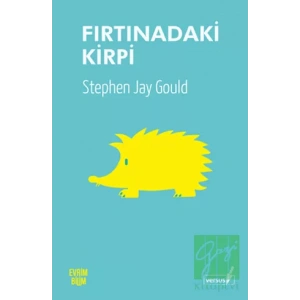 Fırtınadaki Kirpi
