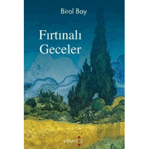 Fırtınalı Geceler