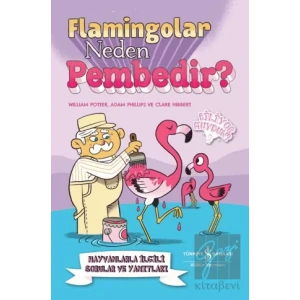 Flamingolar Neden Pembedir? Hayvanlarla İlgili Sorular ve Yanıtları
