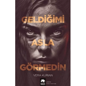 Geldiğimi Asla Görmedin