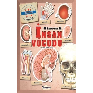 Gizemleri Öğrenelim - Gizemli İnsan Vücudu