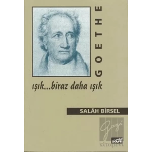 Goethe: Işık... Biraz Daha Işık