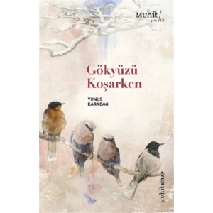 Gökyüzü Koşarken