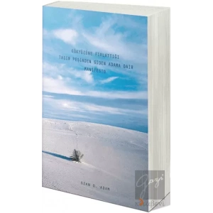 Gökyüzüne Fırlattığı Taşın Peşinden Giden Adama Dair Manifesto