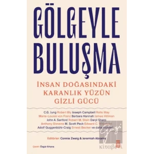 Gölgeyle Buluşma ve İnsan Doğasındaki Karanlık Yüzün Gizli Gücü