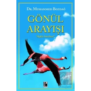 Gönül Arayışı