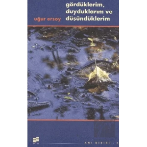 Gördüklerim, Duyduklarım Ve Düşündüklerim