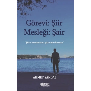 Görevi Şiir Mesleği Şair