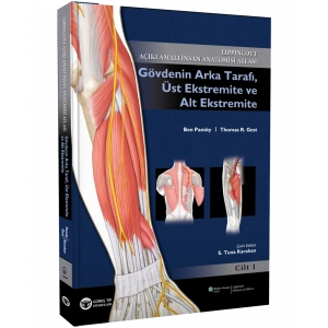 GÖVDENİN ARKA TARAFI