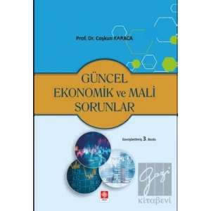 Güncel Ekonomik ve Mali Sorunlar