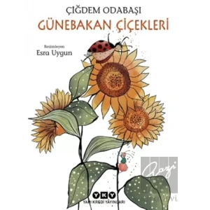 Günebakan Çiçekleri