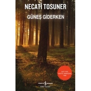 Güneş Giderken