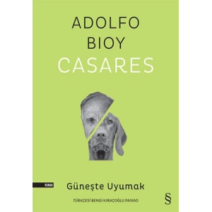 Güneşte Uyumak