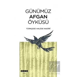 Günümüz Afgan Öyküsü