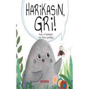 Harikasın Gri
